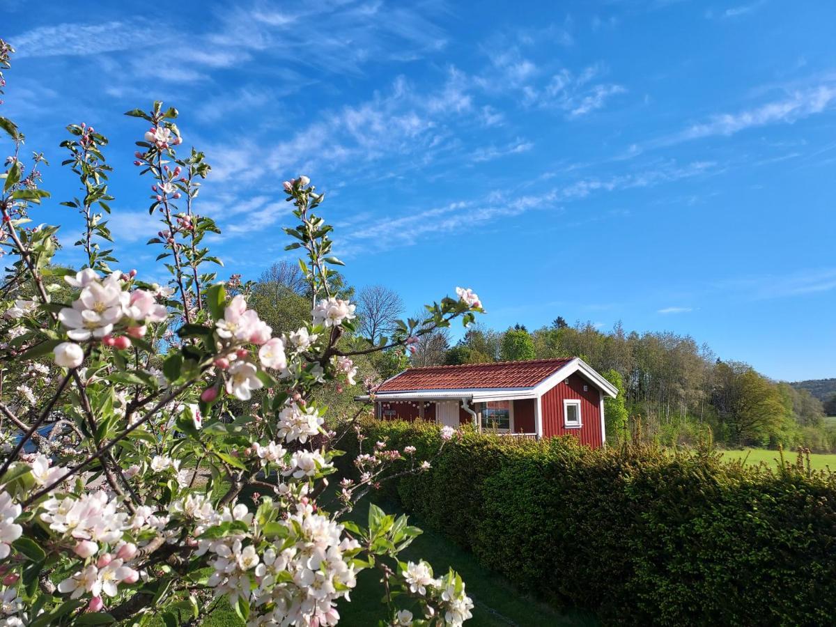Aelgbergets Bed & Breakfast Ucklum ภายนอก รูปภาพ